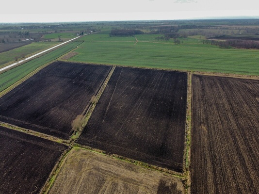 Elbląg NIERUCHOMOŚCI ANNA KRASZEWSKAGrunty rolne na sprzedaż  11,65 haSzopy, gm. Gronowo Elbląskie, powiat elbląski