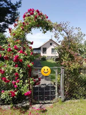 Elbląg Działka ROD, ul Malborska