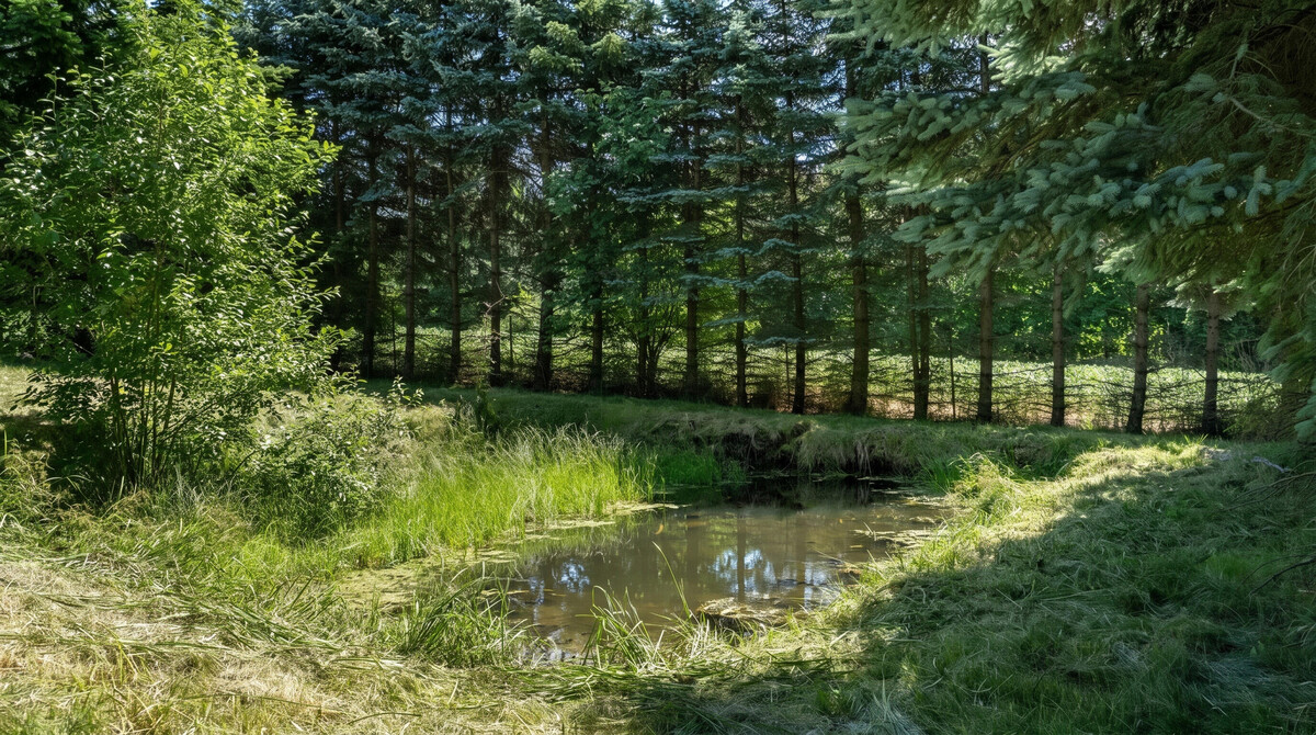 Elbląg TO MY SPRZEDAJEMYNIERUCHOMOŚCI W TYM MIEŚCIEBIURO NIERUCHOMOŚCIAMERICAN HOMEFOR SALE - ELBLĄG / CZECHOWO