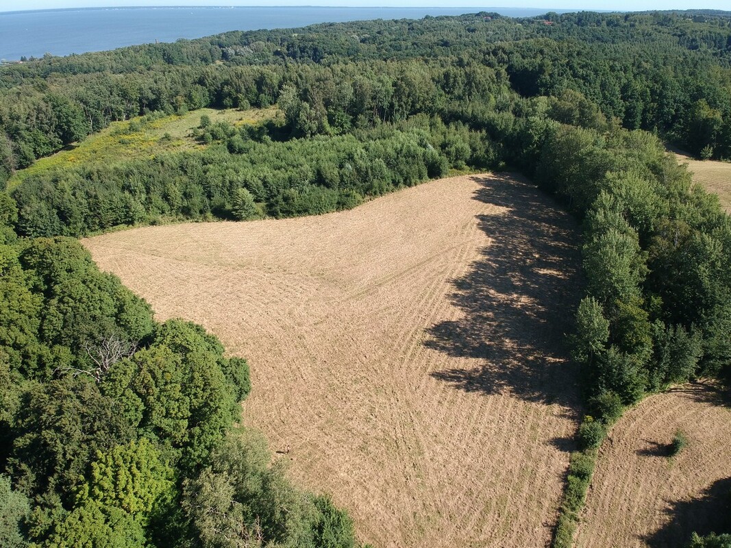 Elbląg SZULC & SZULC BIURO NIERUCHOMOŚCI NA SPRZEDAŻDziałka budowlano - usługowa - Kamionek Wielki /gmina