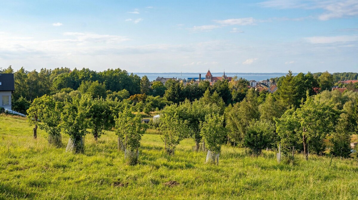 Elbląg TO MY SPRZEDAJEMYNIERUCHOMOŚCI W TYM MIEŚCIEBIURO NIERUCHOMOŚCIAMERICAN HOMEFOR SALE - POSIADŁOŚĆ - TOLKMICKO