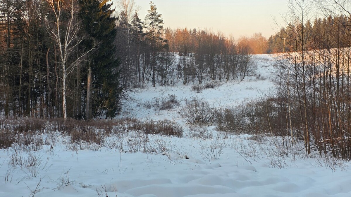 Elbląg BIURO NIERUCHOMOŚCISZULC& SZULCDziałka budowlana w miejscowości Elbląg ul. Jaworowa /Dąbrowa/ o