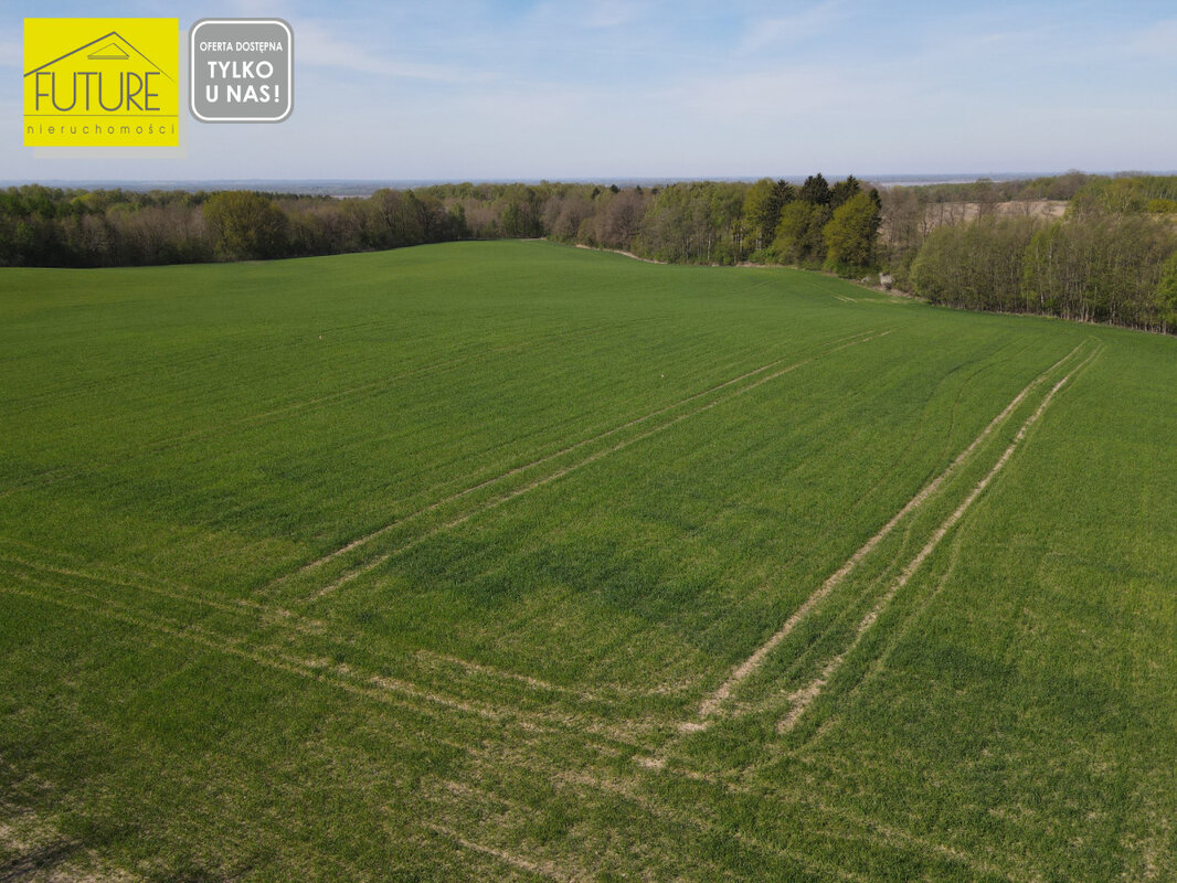 Elbląg FUTURE NIERUCHOMOŚCISprzedam działkę - Przezmark. DZIAŁKA ROLNA ZE ZŁOŻONYM WNIOSKIEM O WARUNKI ZABUDOWY