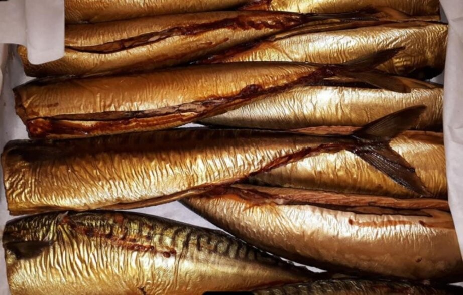 Elbląg 🐟 Ryby świeże i wędzone od rybaka 🌊