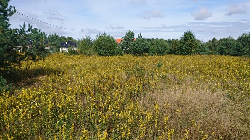 Elbląg SPRZEDAM 2 DZIAŁKI POD MILEJEWEM W OKOLICY ZAJĄCZKOWA, 80 M OD KOMPLEKSU LEŚNEGO,