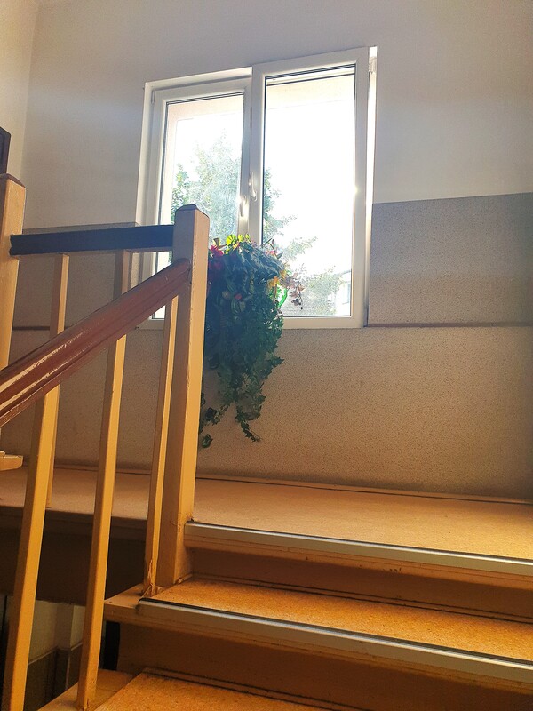 Elbląg 🏠    PÓŁNOC NIERUCHOMOŚCI GDAŃSK PREMIUM  🏠  TYLKO U NAS !!!