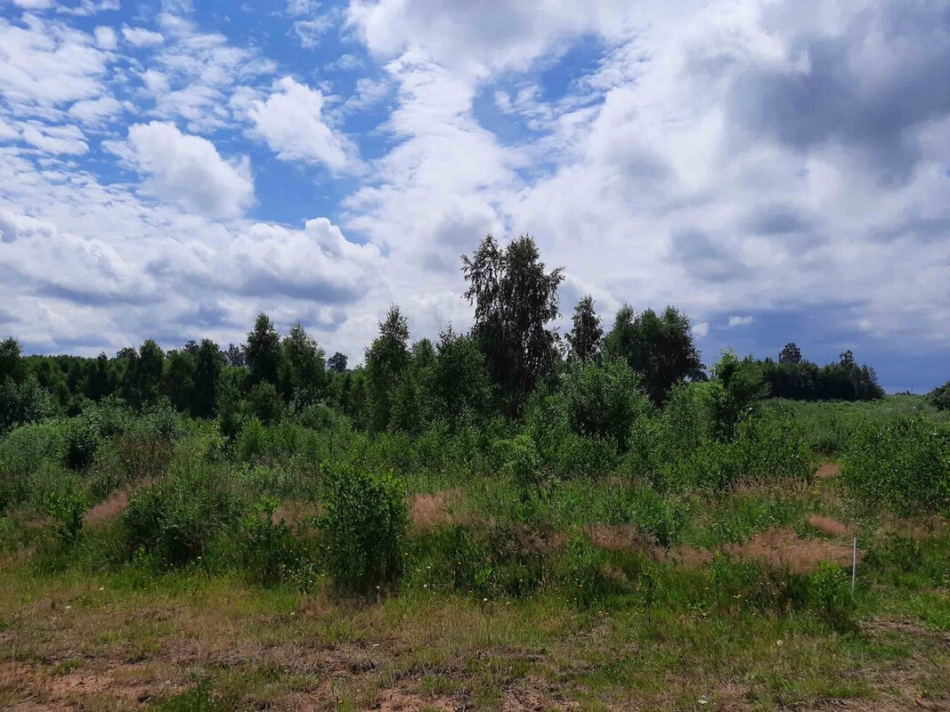 Elbląg SZULC & SZULC BIURO NIERUCHOMOŚCI Działka budowlana - Łęcze, gmina