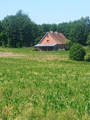 Elbląg Sprzedam siedlisko we wsi Ząbrowiec koło Godkowa. Działka 3 ha na działce stoi dom bliźniak