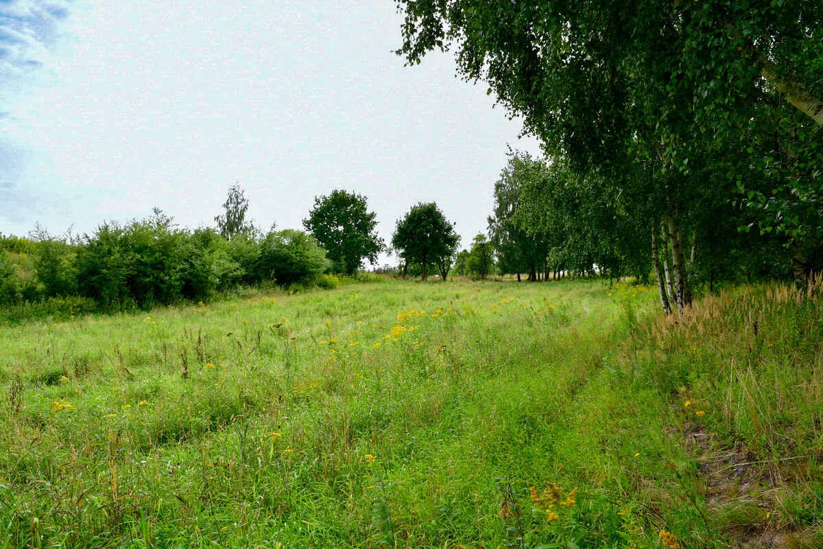 Elbląg Wyjątkowa działka rolna na sprzedaż w miejscowości Łęcze – 1 hektar! Prezentacja działki i okolicy z