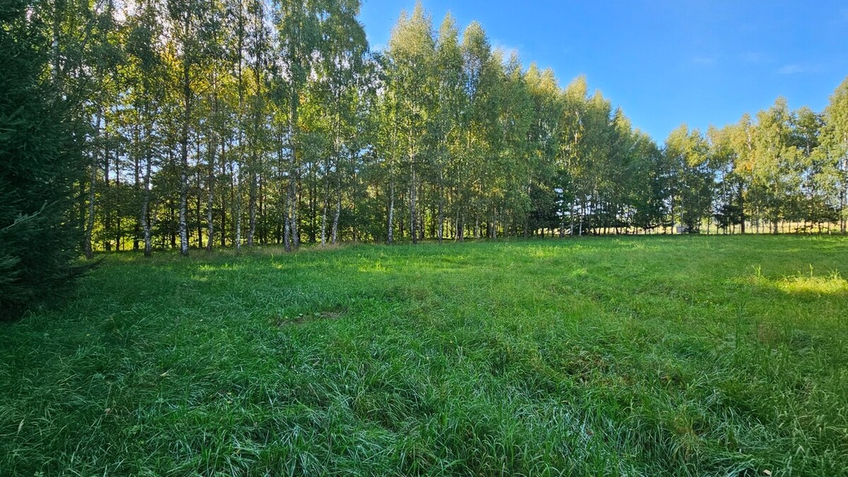 Elbląg BIURO NIERUCHOMOŚCISZULC& SZULCDziałka budowlana - Kamiennik Wielki, gmina MilejewoPowierzchnia - 3034 m2Na