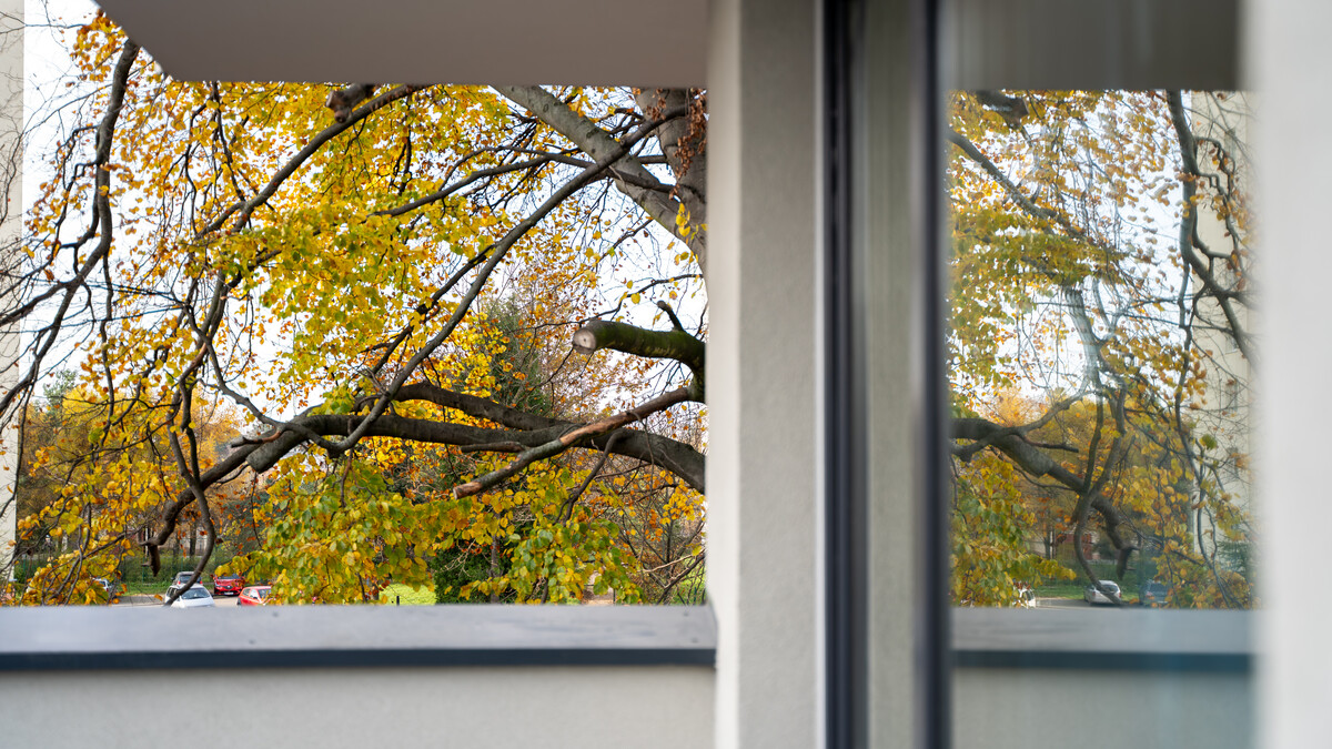 Elbląg TO MY SPRZEDAJEMYNIERUCHOMOŚCI W TYM MIEŚCIEBIURO NIERUCHOMOŚCIAMERICAN HOMEAPARTAMENTY ZAWADA