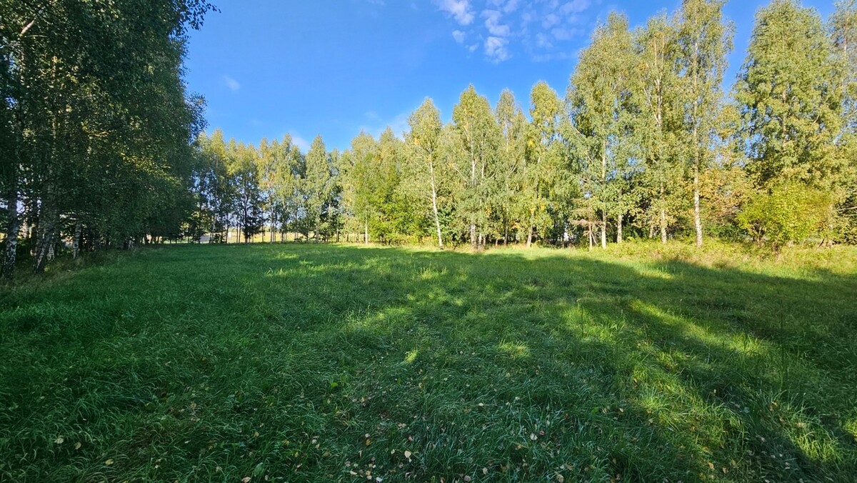 Elbląg BIURO NIERUCHOMOŚCISZULC& SZULCDziałka budowlana - Kamiennik Wielki, gmina MilejewoPowierzchnia - 3034 m2Na