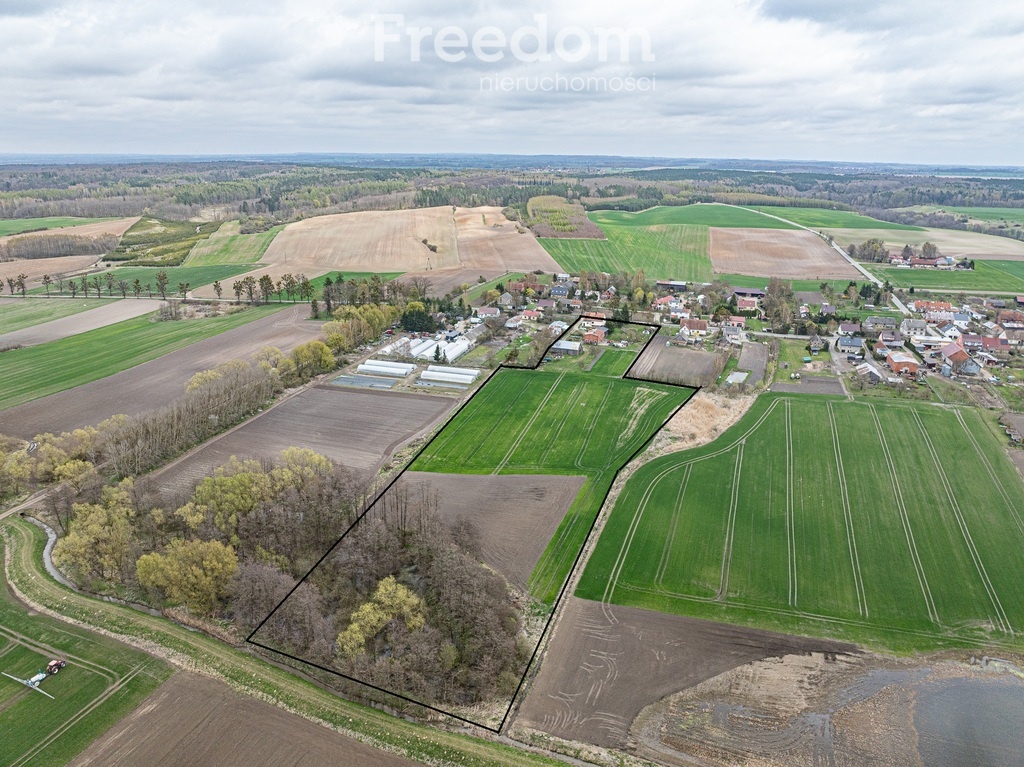 Elbląg FREEDOM NIERUCHOMOŚCISprzedam dom - Święty gaj. Na sprzedaż wyjątkowa nieruchomość położona w spokojnej i