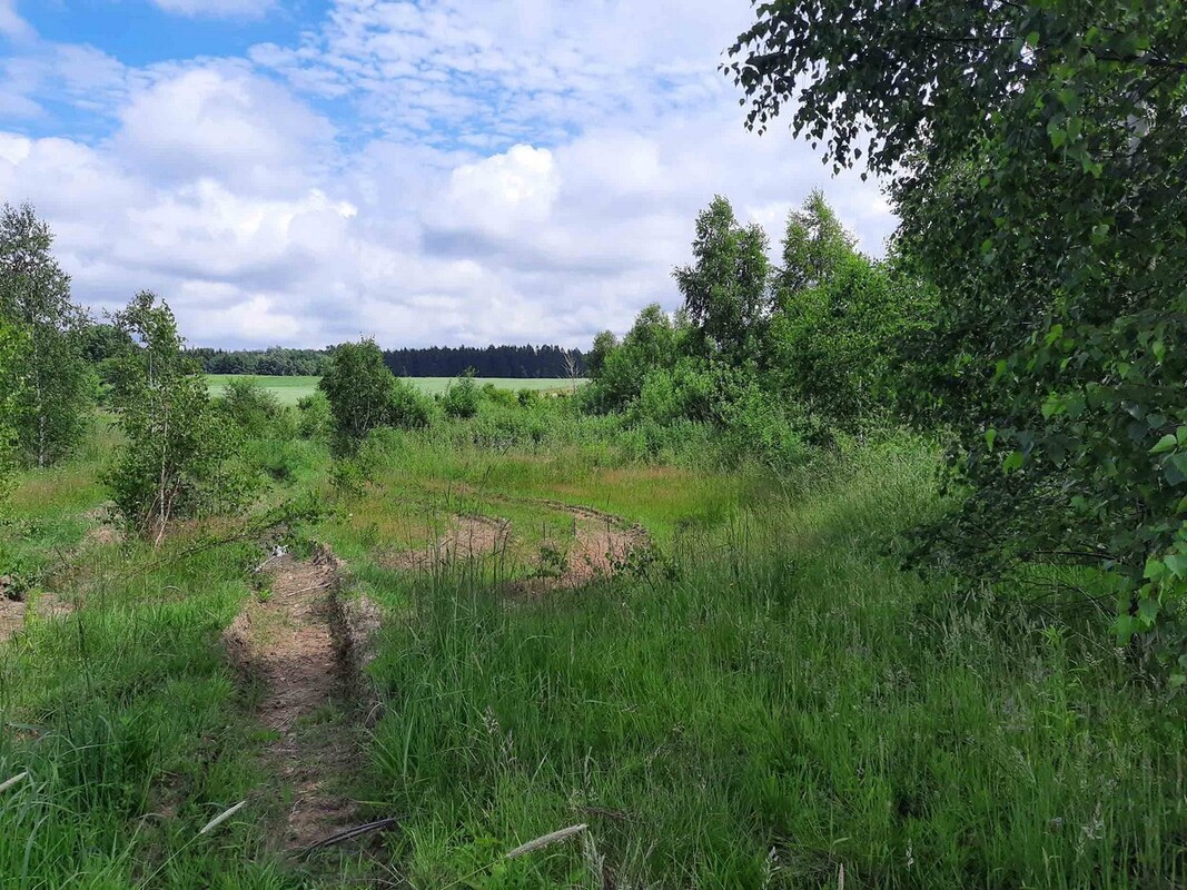 Elbląg SZULC & SZULC BIURO NIERUCHOMOŚCI Działka budowlana - Łęcze, gmina