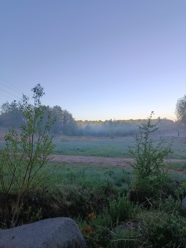 Elbląg Sprzedam ziemię z działką zabudowaną po gospodarstwie rolnym w Pomorskiej Wsi gmina Milejewo ok 13 km od