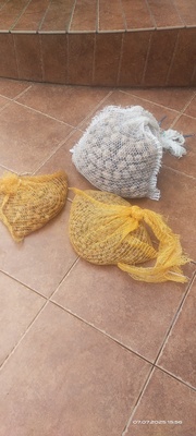 Elbląg Oddam orzechy włoskie i laskowe z tamtego roku za dwie kawy rozpuszczalne z Biedronki lub kase