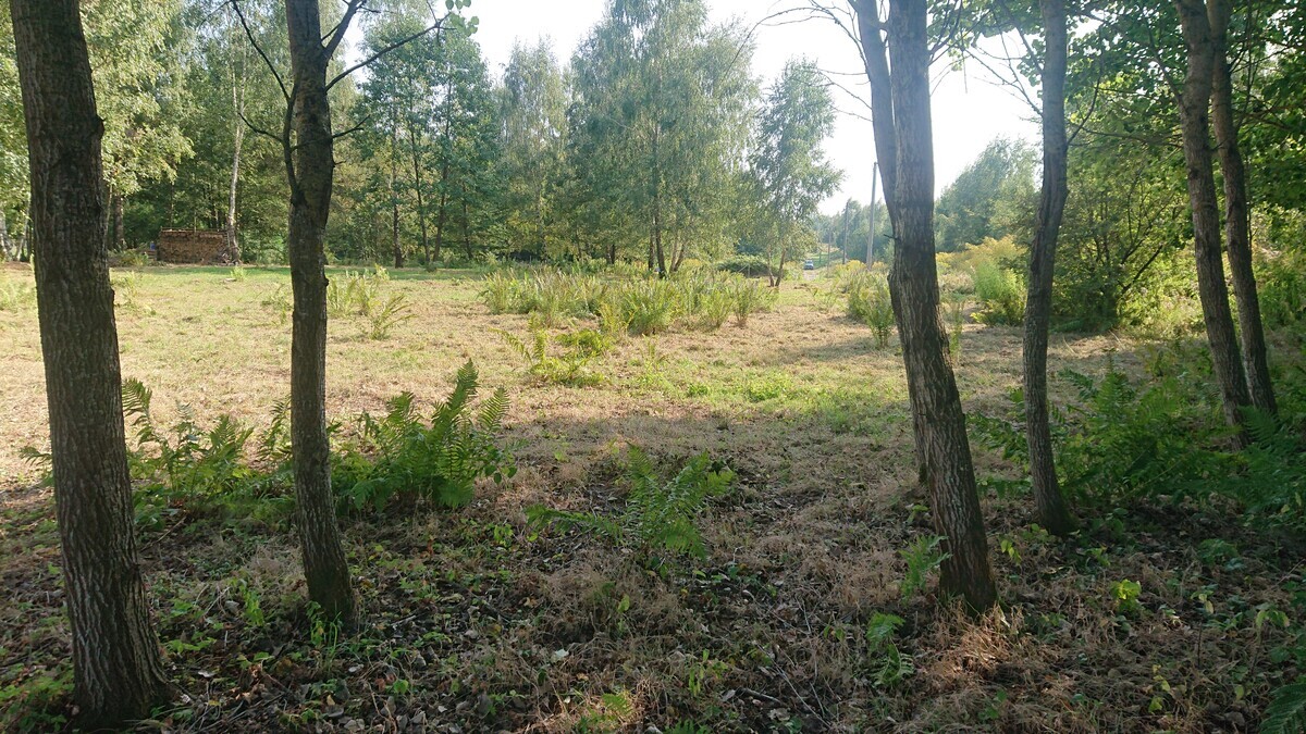 Elbląg SPRZEDAM 2 DZIAŁKI POD MILEJEWEM W OKOLICY ZAJĄCZKOWA, 80 M OD KOMPLEKSU LEŚNEGO,