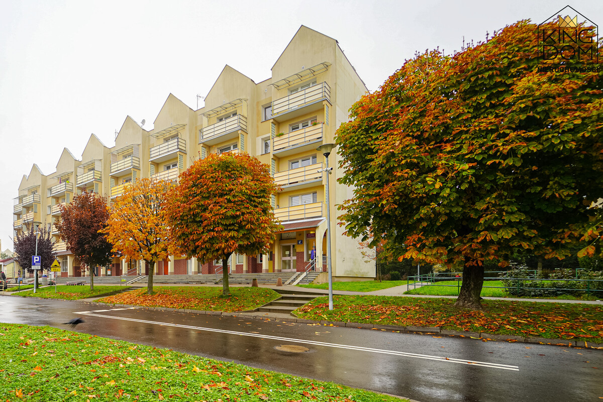 Elbląg 👑🏠  KINGDOM  🏠👑NIERUCHOMOŚCI BLISKO CIEBIE  USTAWNE 2-POKOJOWE