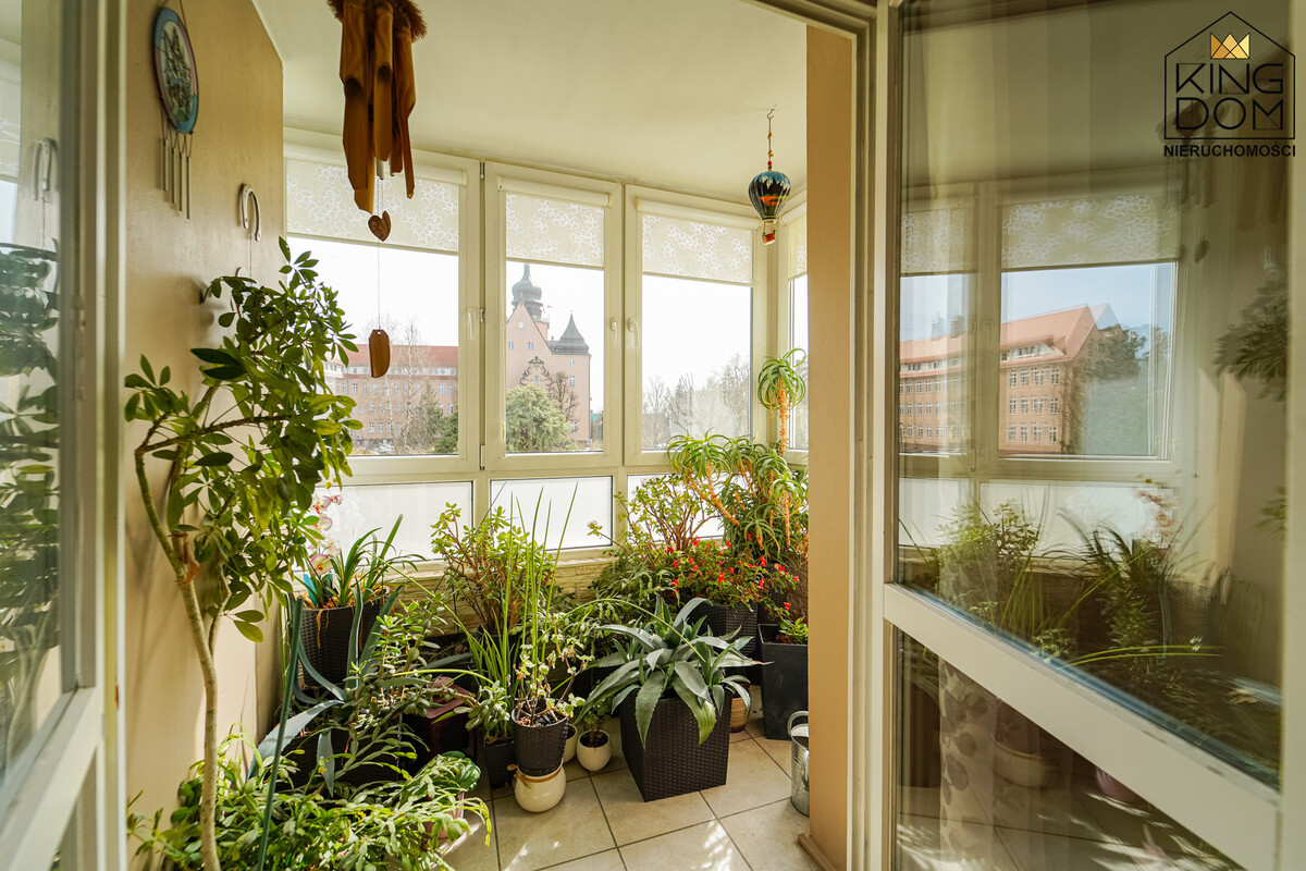 Elbląg 👑🏠 KINGDOM 🏠👑NIERUCHOMOŚCI BLISKO CIEBIE PRZESTRONNE