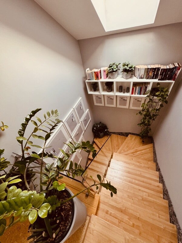 Elbląg Dom wśród sosen – enklawa ciszy i harmonii, ul. Wileńska, Elbląg