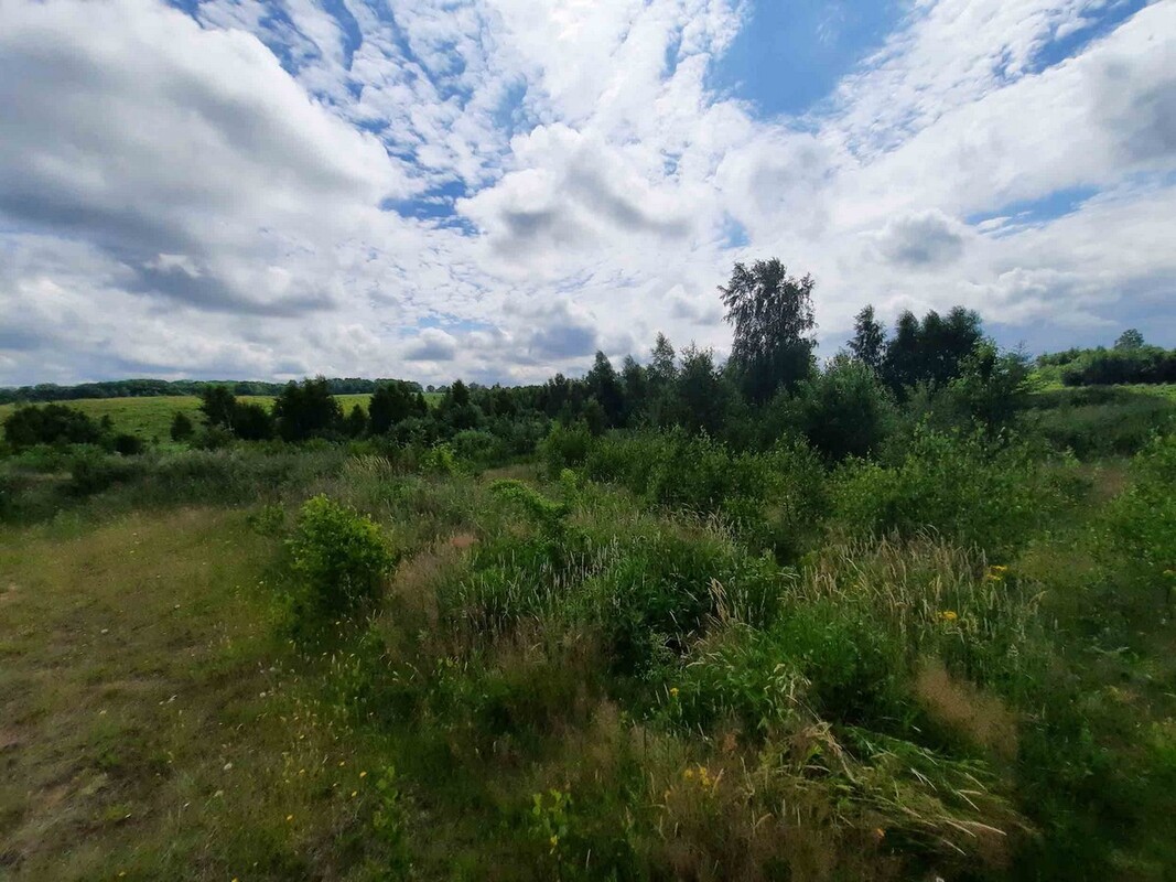 Elbląg SZULC & SZULC BIURO NIERUCHOMOŚCI Działka budowlana - Łęcze, gmina
