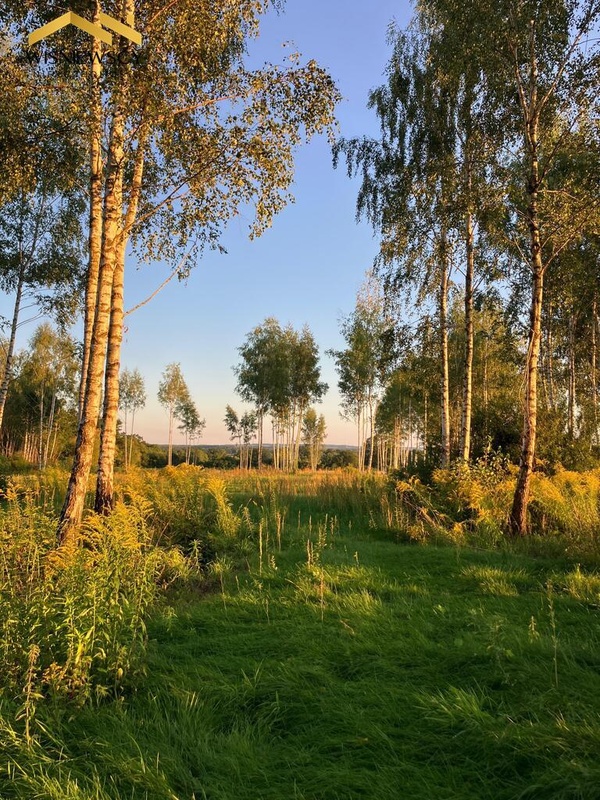 Elbląg WIŚNIEWSCY NIERUCHOMOŚCI Sp. z o.o.Sprzedam działkę - Dawidy. Oferta sprzedaży działki rolnej z wydaną