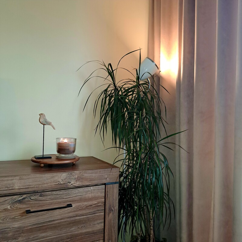 Elbląg Wynajmę mieszkanie w Elblągu ul Kościuszki/ wieżowiec/ 42 m dwa pokoje / salon oddzielna kuchnia sypialnia/ w