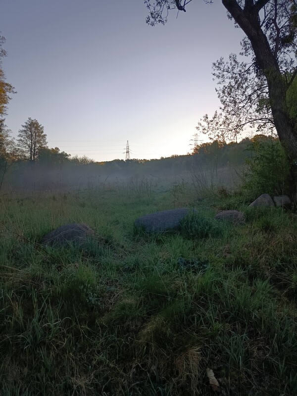 Elbląg Sprzedam ziemię z działką zabudowaną po gospodarstwie rolnym w Pomorskiej Wsi gmina Milejewo ok 13 km od