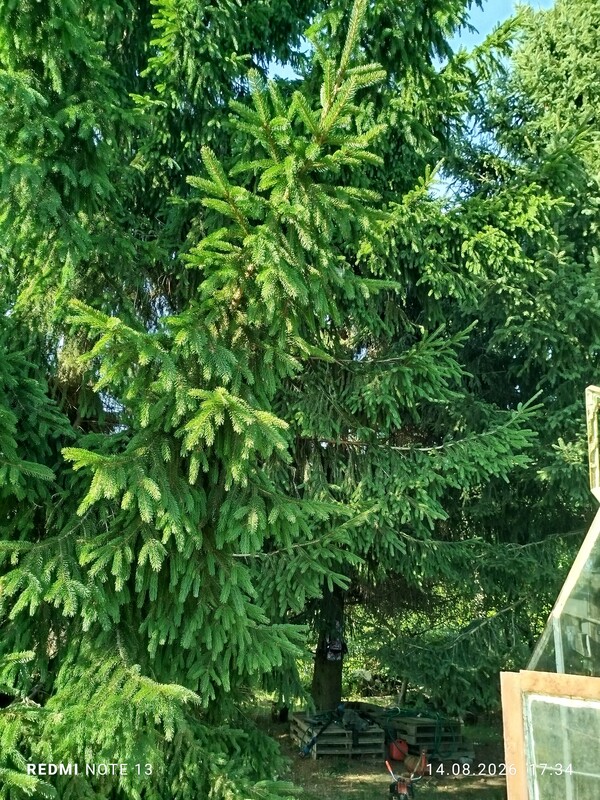 Elbląg Sprzedam działkę w ROD Bratek
