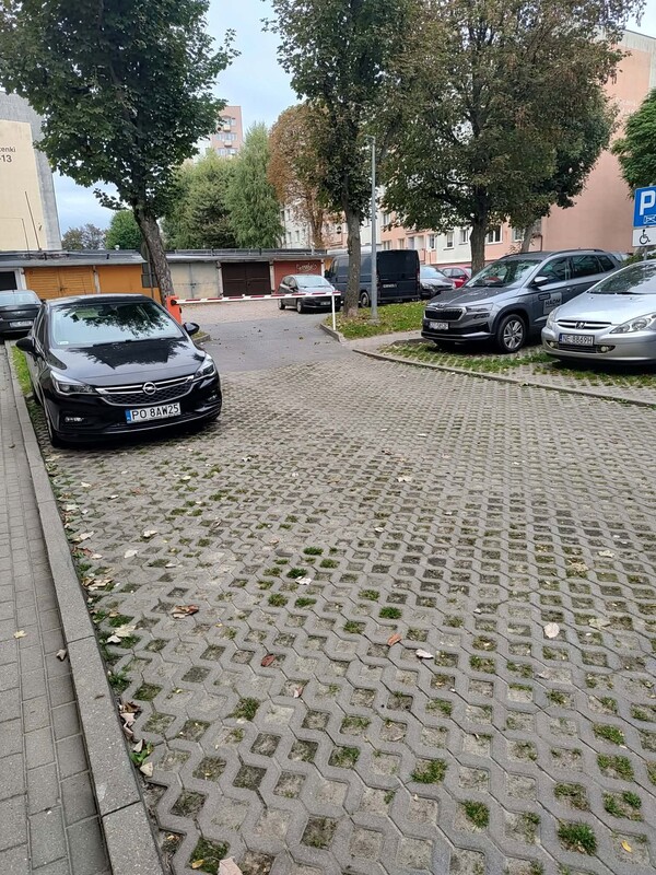 Elbląg Kawalerka do wynajęcia.