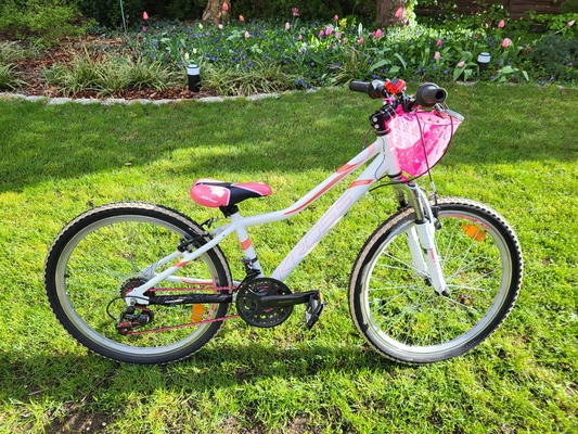 Elbląg Sprzedam używany dziecięcy rower Kross lizzy 24.