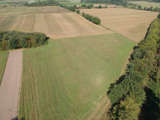 Elbląg SZULC & SZULC BIURO NIERUCHOMOŚCI NA SPRZEDAŻDziałka budowlana - Młynary ul.