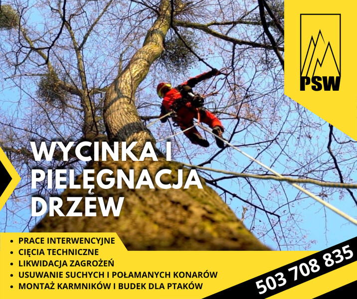 Elbląg PSW – Kompleksowe i Bezpieczne Usługi Wysokościowe z Wykorzystaniem Technik Alpinistycznych:Mycie,