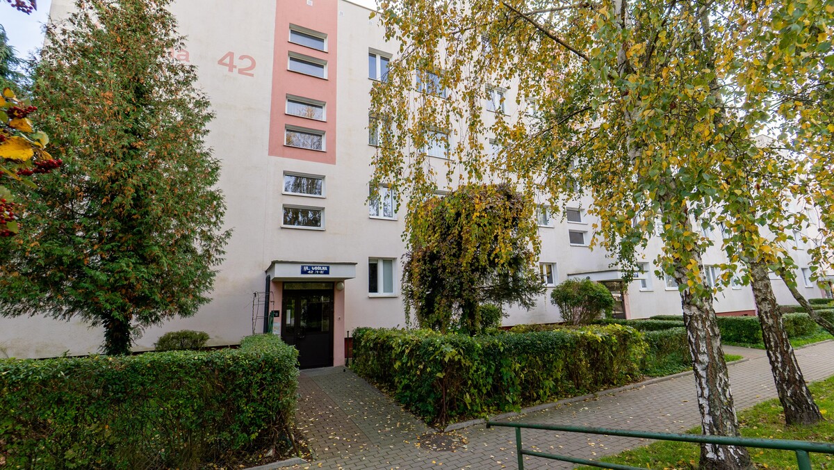 Elbląg TO MY SPRZEDAJEMYNIERUCHOMOŚCI W TYM MIEŚCIEBIURO NIERUCHOMOŚCIAMERICAN HOMEWYNAJMĘ - 2 POKOJE -