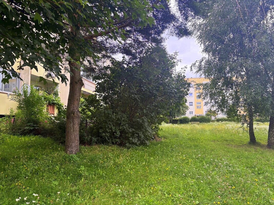 Elbląg KWADRAT NIERUCHOMOŚCI3 pokojowebalkonparternad jaremmedia z miasta