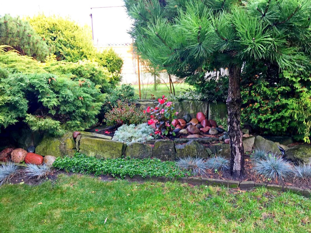 Elbląg SPRZEDAM DOM Z LOKALEM USŁUGOWYM, GARAŻEM I OGRODEM W SAMYM SERCU MIASTA ELBLĄG. MOŻLIWOŚĆ ZAMIANY