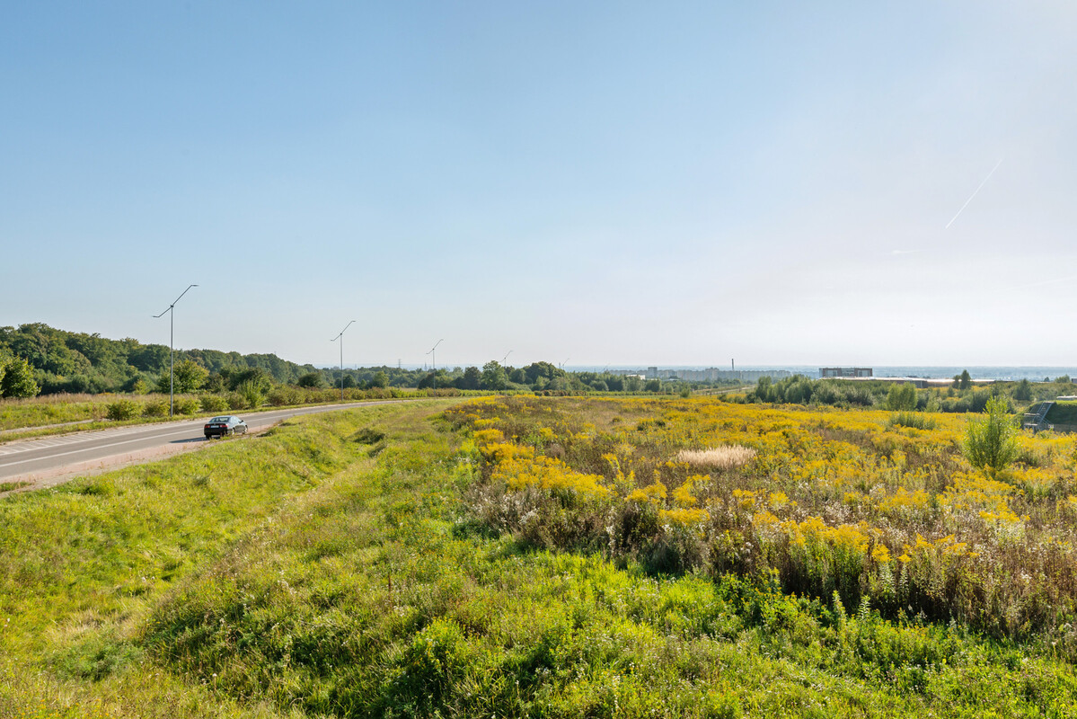 Elbląg Nowoczesne i słoneczne 2-pokojowe mieszkanie na wynajem | Elbląg | balkon | nowe budownictwo