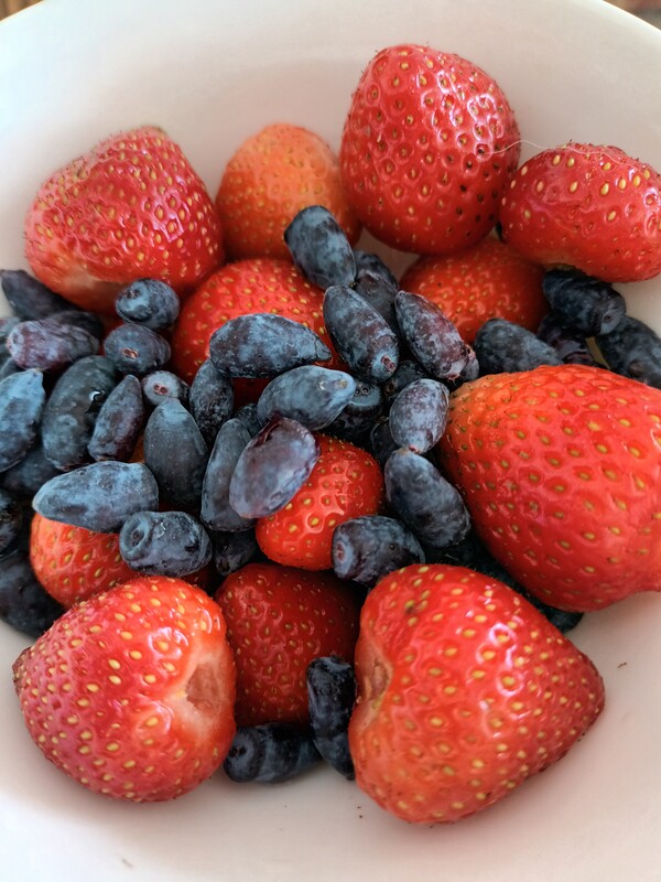 Elbląg Sprzedam dom jednorodzinny w zabudowie bliźniaczej na ul. Narutowicza. Najbardziej pożądana lokalizacja w