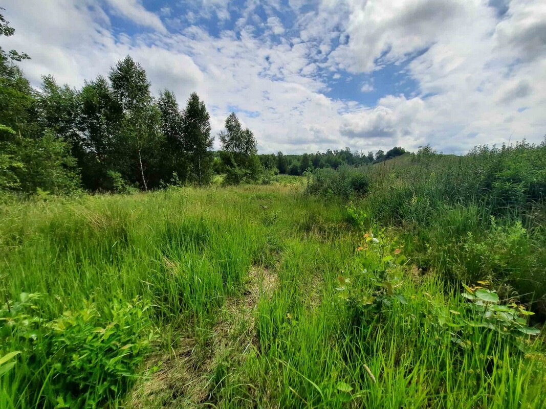 Elbląg SZULC & SZULC BIURO NIERUCHOMOŚCI Działka budowlana - Łęcze, gmina