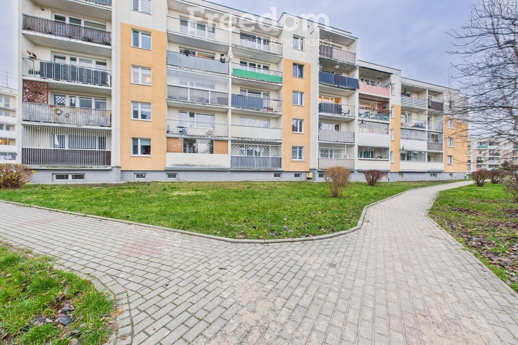 Elbląg FREEDOM NIERUCHOMOŚCISprzedam mieszkanie - Elbląg, Fromborska. Na sprzedaż ustawne mieszkanie 3-pokojowe o