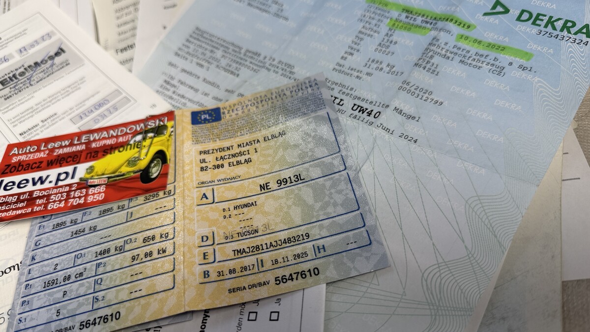 Elbląg Auto Leew LEWANDOWSKI