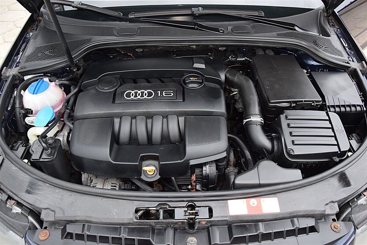 Elbląg Audi A3 HatchbeckSilnik 1.6 - 102 KMZadbany / garażowany