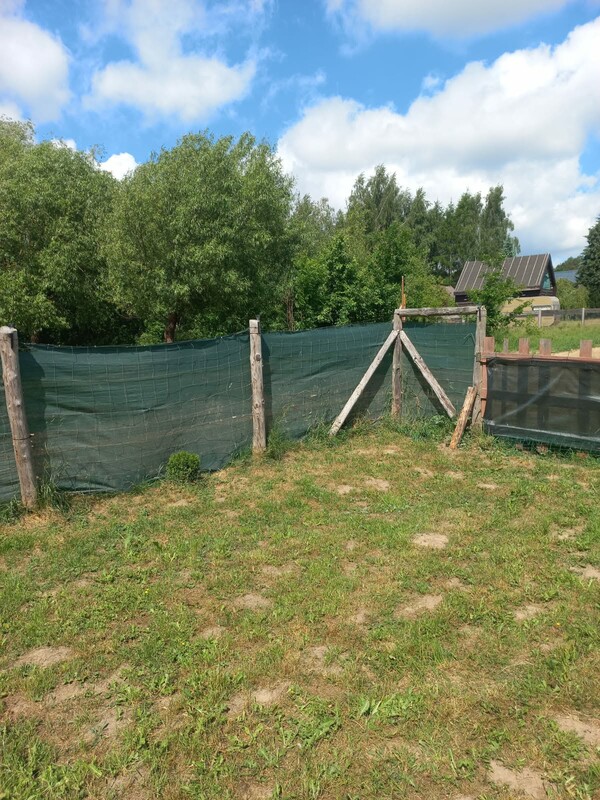Elbląg Domek letniskowy nad Jeziorem Jeziorak – Matyty | 50 m od jeziora | dzierżawa
