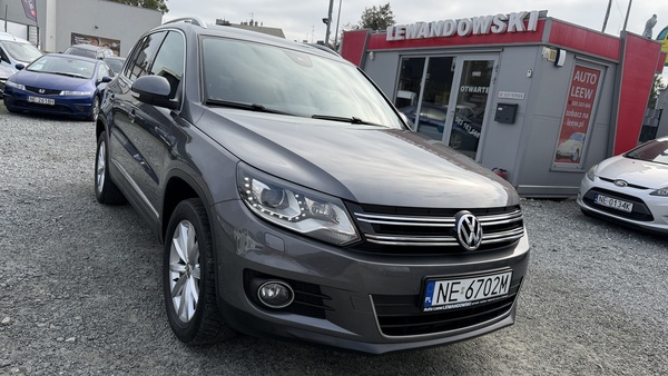 Elbląg Auto Leew LEWANDOWSKI Kupujemy i Sprzedajemy tylko dobre auta Za auta z Polskiego Salonu Płacimy Najwięcej