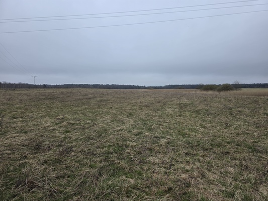 Elbląg MEGA-CONSULT NIERUCHOMOŚCI&nbsp; - WYCENA, SPRZEDAŻ, KUPNO, WYNAJEMOFERUJEGRUNTY ROLNE POŁOŻONE NAD RZEKĄ