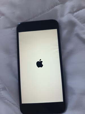 Elbląg Sprzedam kilka tel iPhone se 5 6 iPhone se działa lecz coś się z ekranem działa iPhone 6 działa tyle że ma