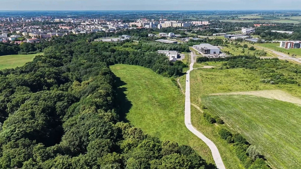Elbląg SZUKAM DZIAŁKI – MODRZEWINA, ELBLĄG – KUPIĘ LUB WYDZIERŻAWIĘ