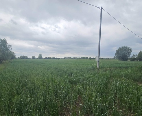 Elbląg Dzialka rolna lV kat. 1,8 h