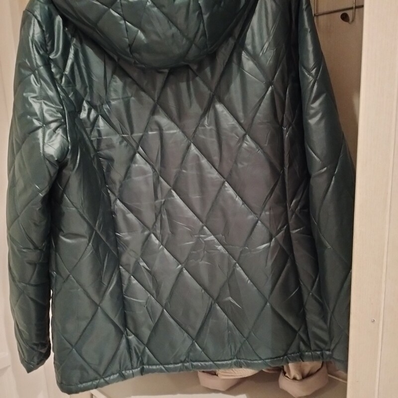 Elbląg Sprzedaję kurtkę przejściową rozmiar 44 kolor ciemno zielony dłuższa. z odpinanym kapturem, kieszenie