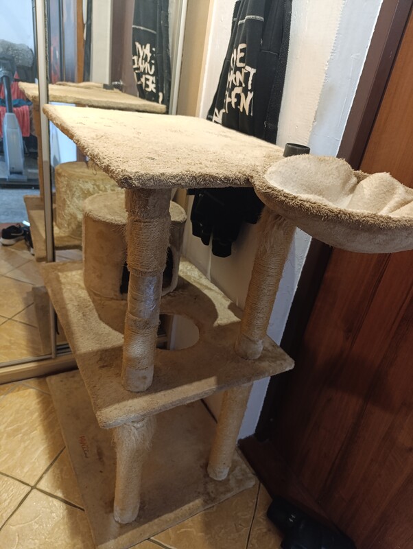 Elbląg Sprzedam duży kremowy drapak
106 cm wysoki
60 cm szeroki
55 cm długi